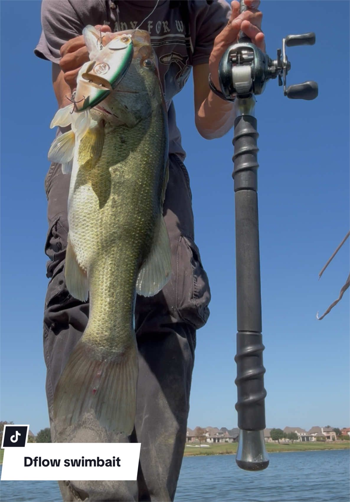 @Lunkerhunter🪵