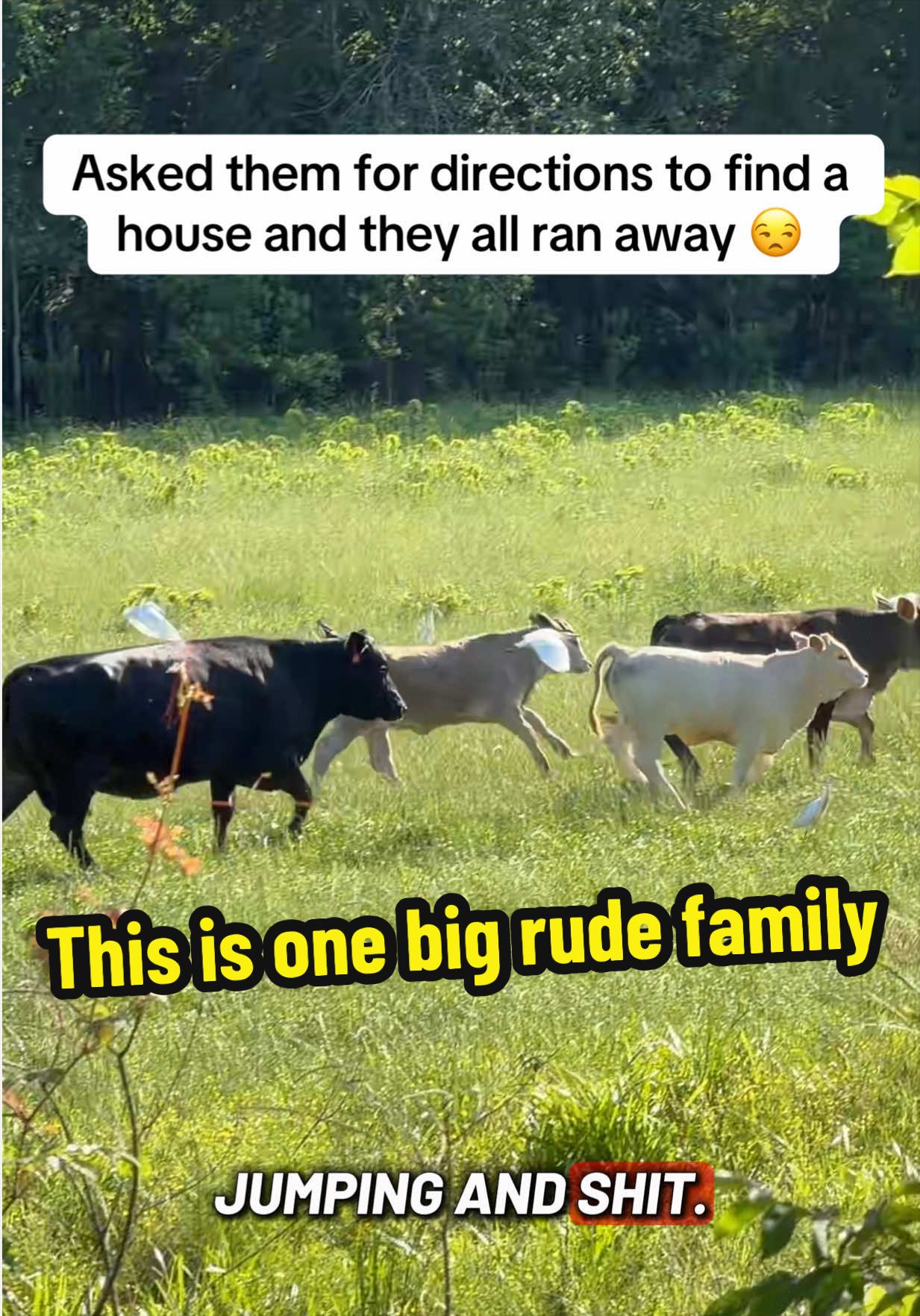 @bossdvincii