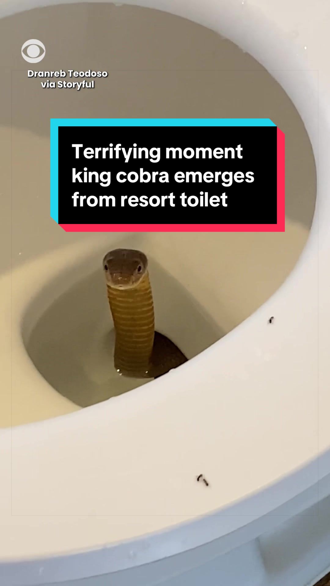 @cbsnews