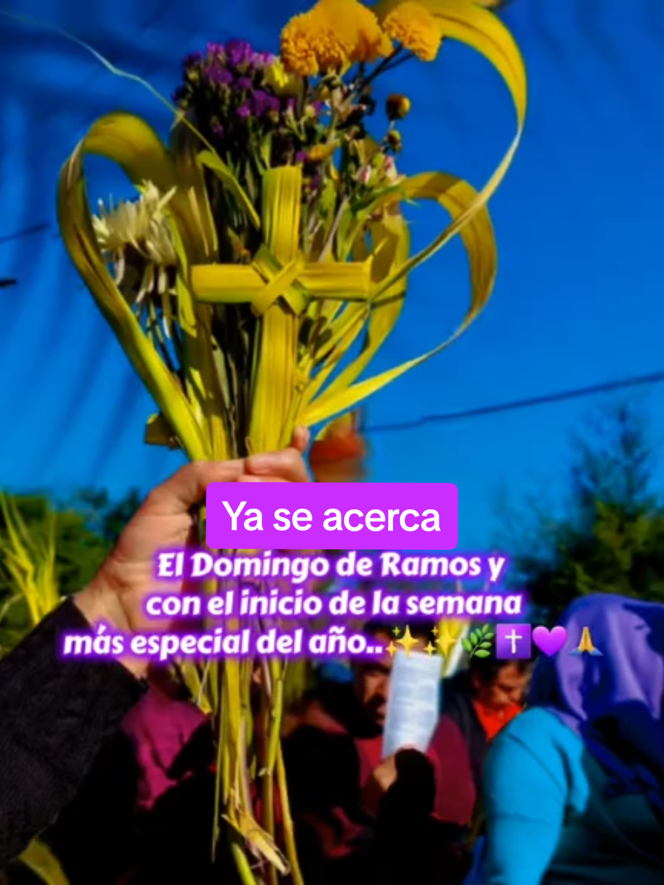 @JES&Uacute;S EL BUEN PASTOR