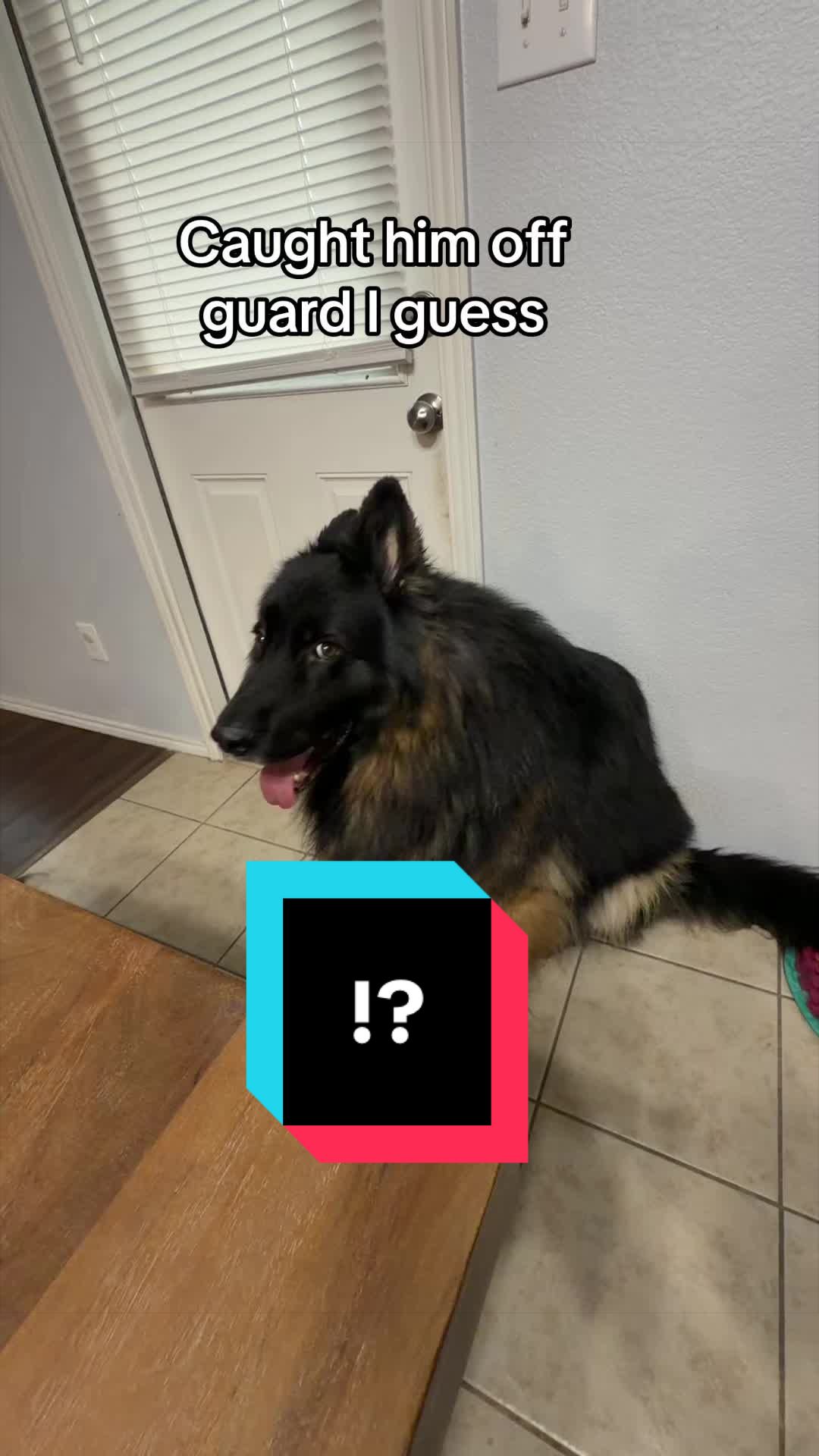 @KidGinger419