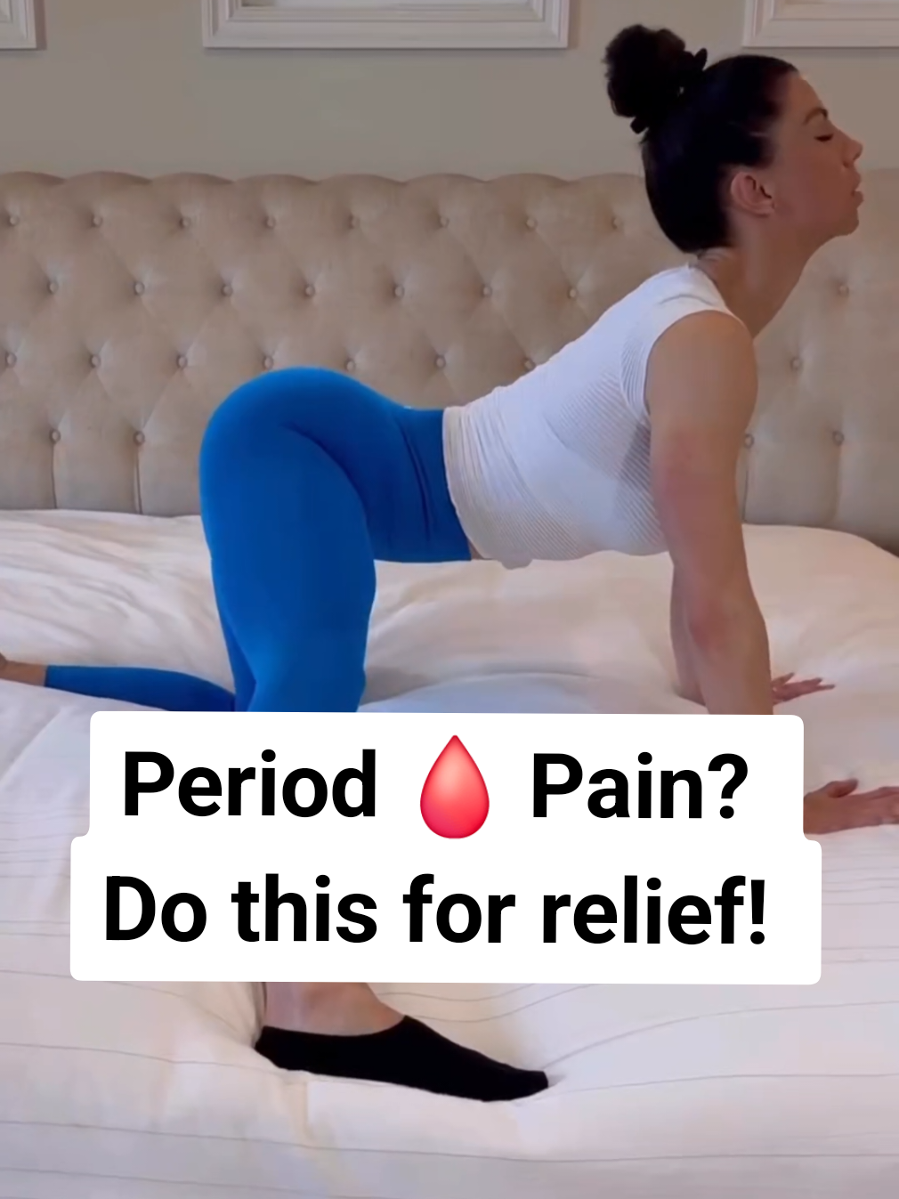 @Brittany Perille