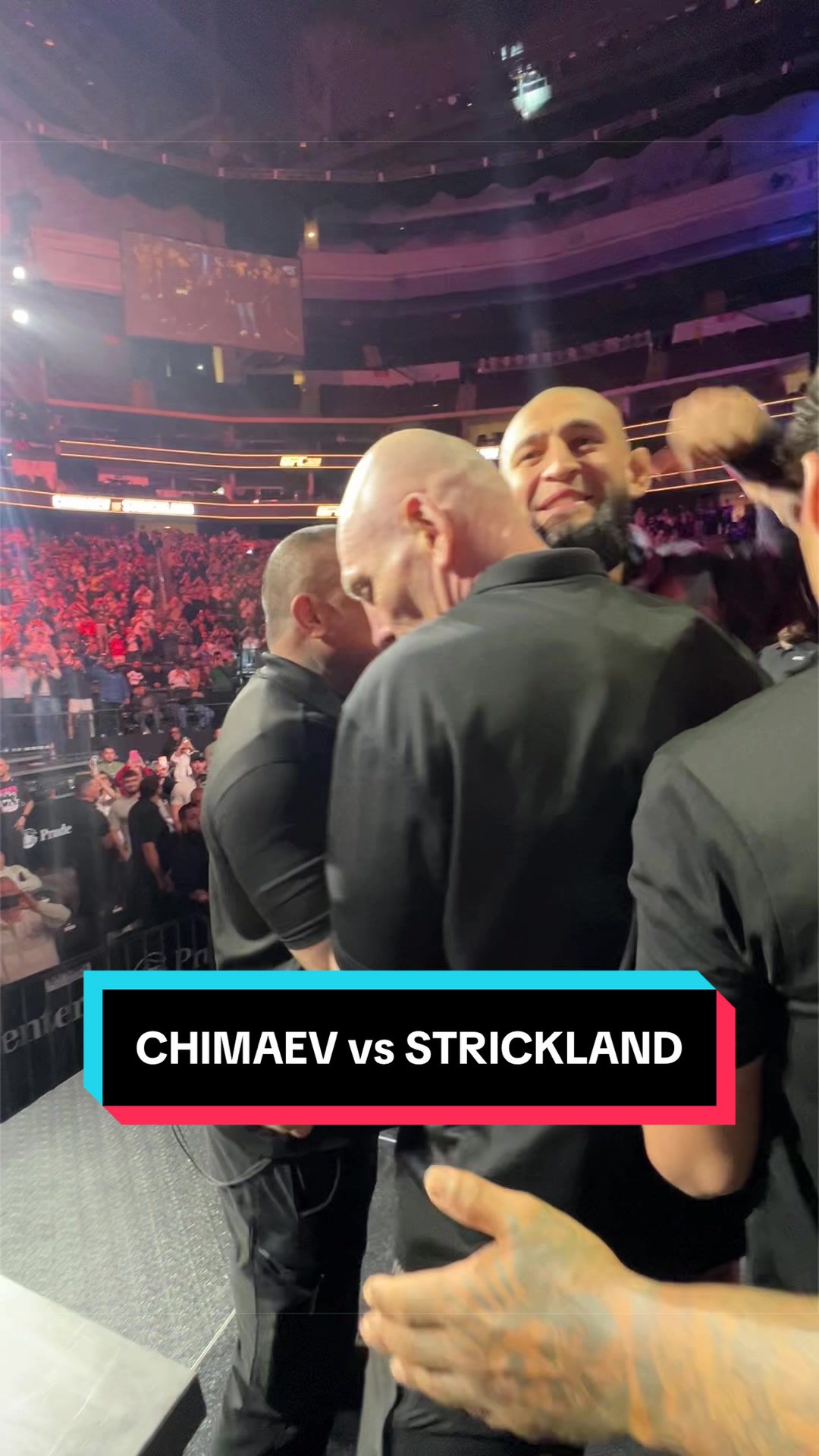 @DanaWhite