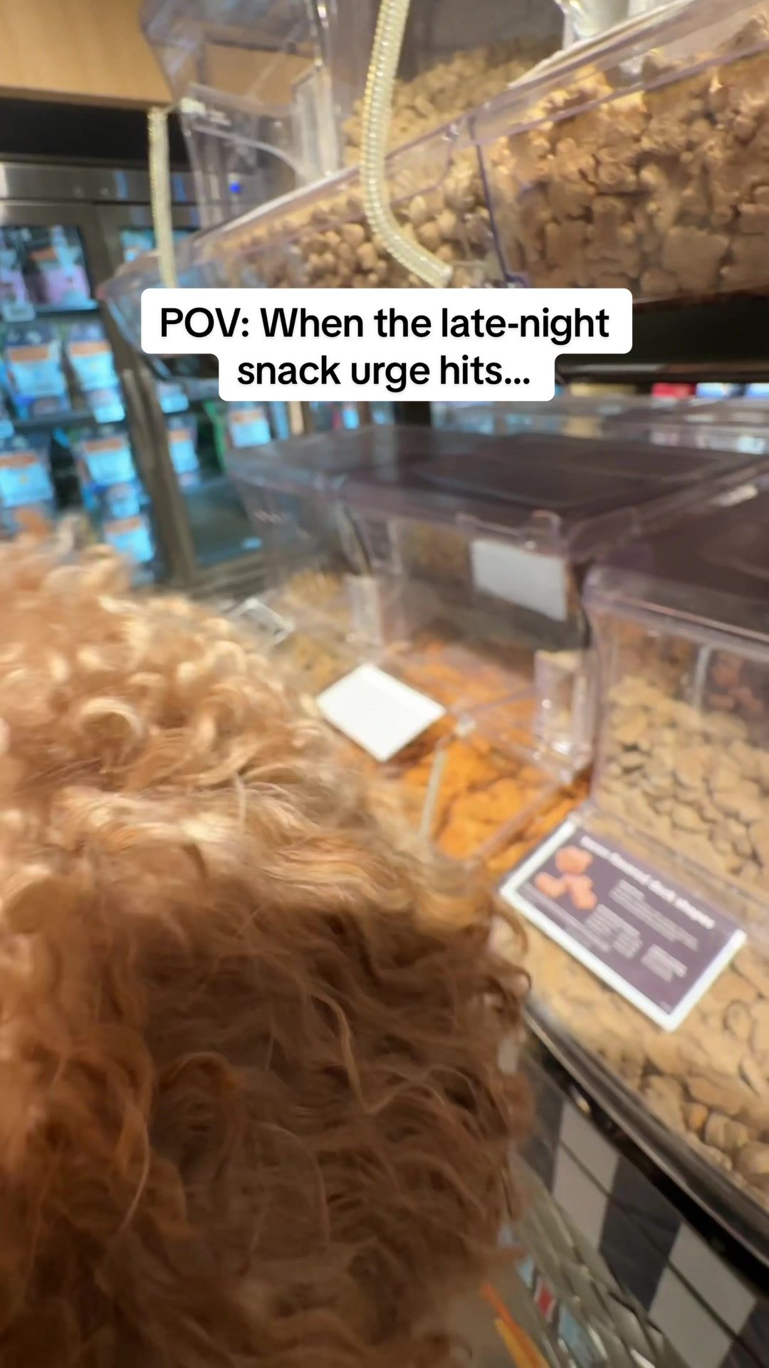 @Poodle Boy Teddy
