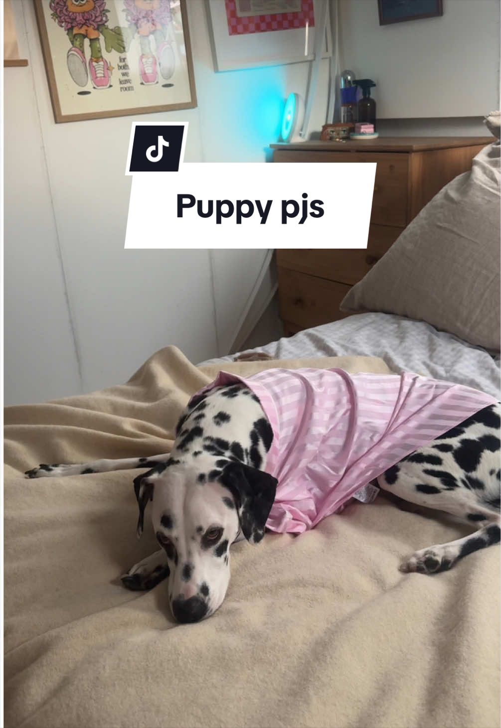 @Maisy