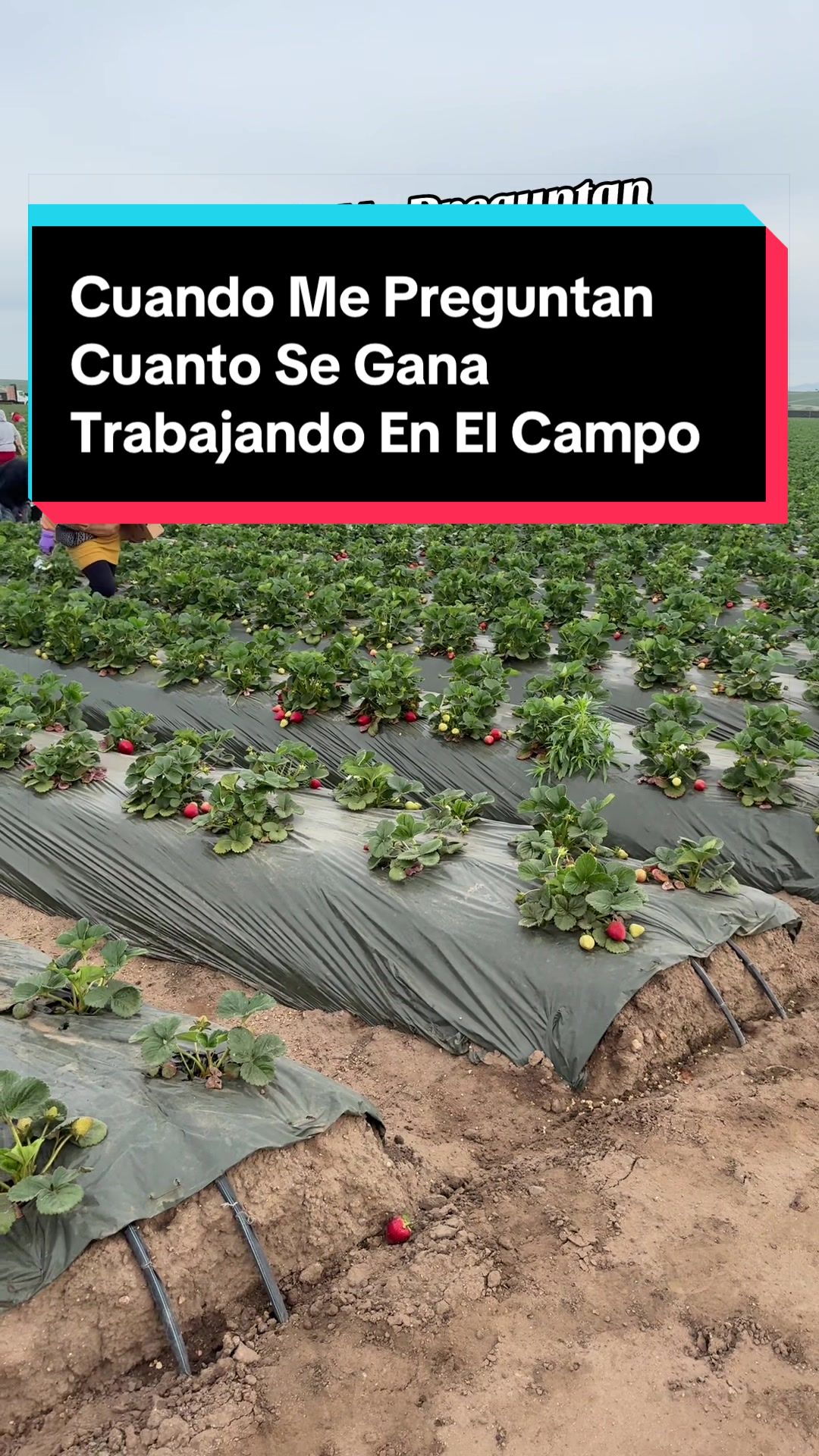 @elbuenavida58
