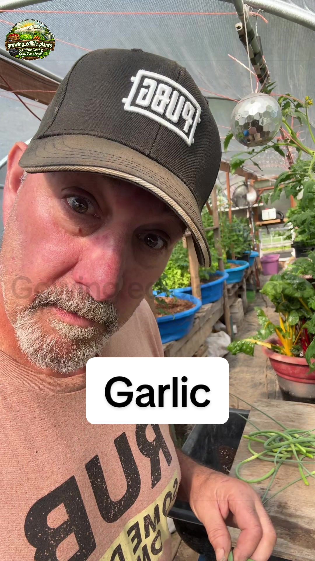 @GROWING_EDIBLE_PLANTS