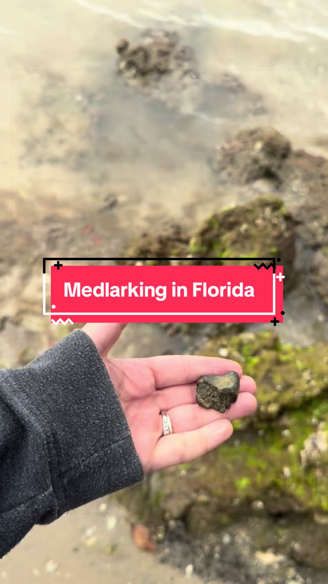 @FL Adventures and Travel