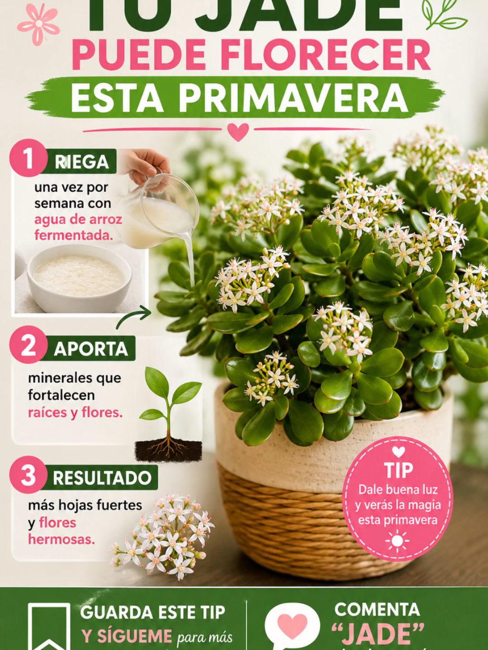 @Vivebonito