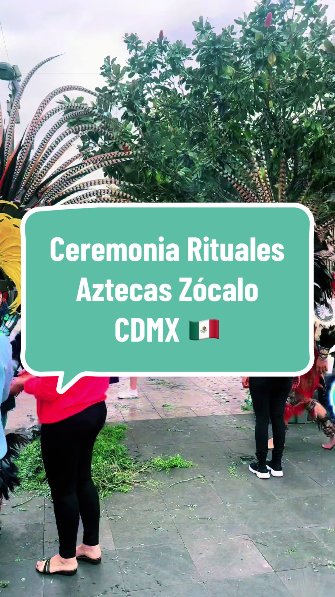 @caballeroviajero0317