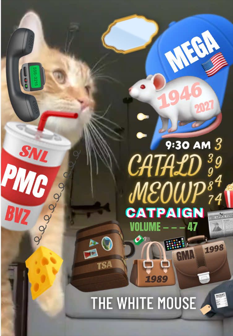 @𝐻𝒪𝐿𝒴𝒲𝟢𝟢𝒟𝐼𝒮𝒜𝐿𝐼𝒱𝐸