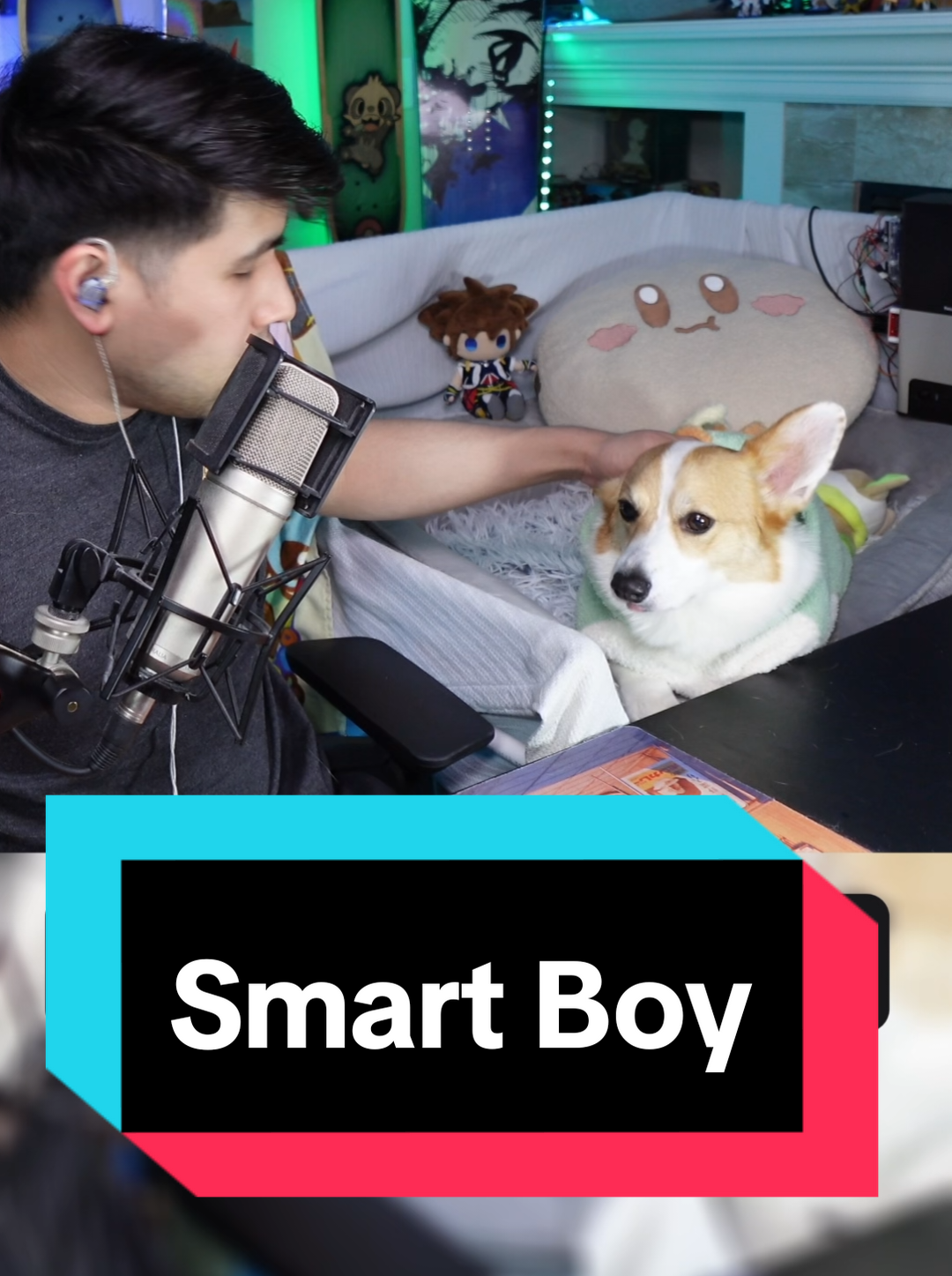 @Protocorg | Twitch Streamer