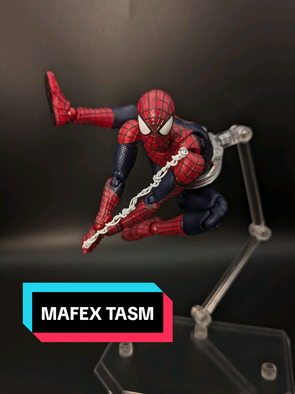 @Webs & Stands