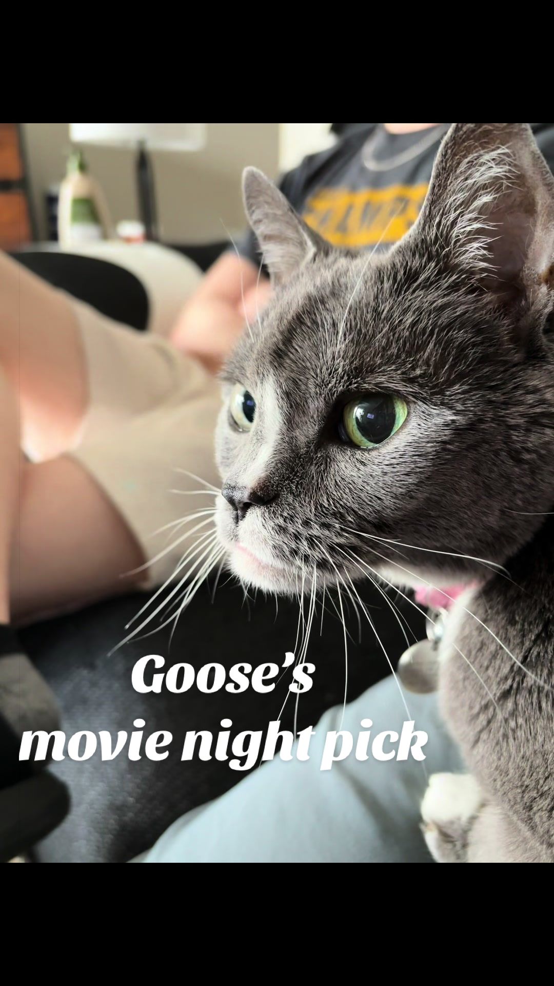 @goosie.gurl