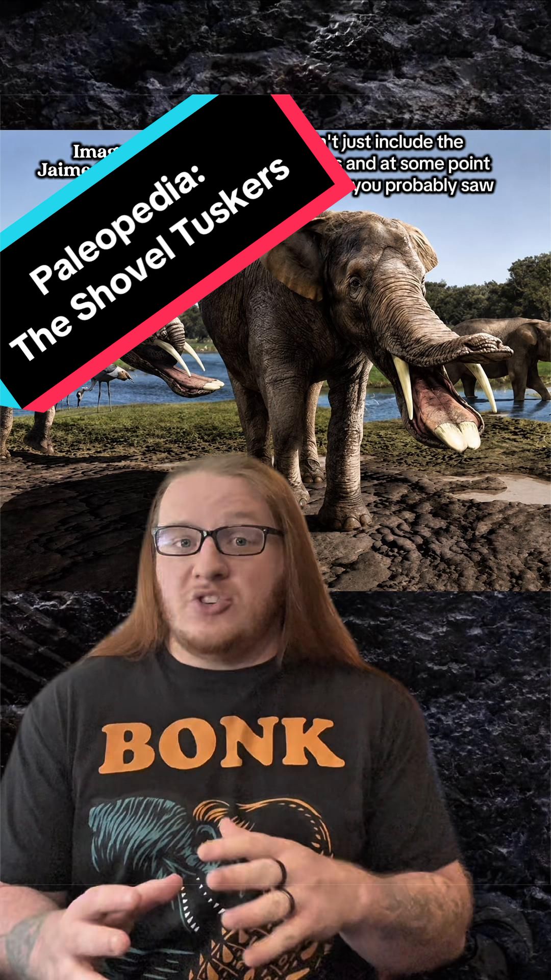 @Paleopedia