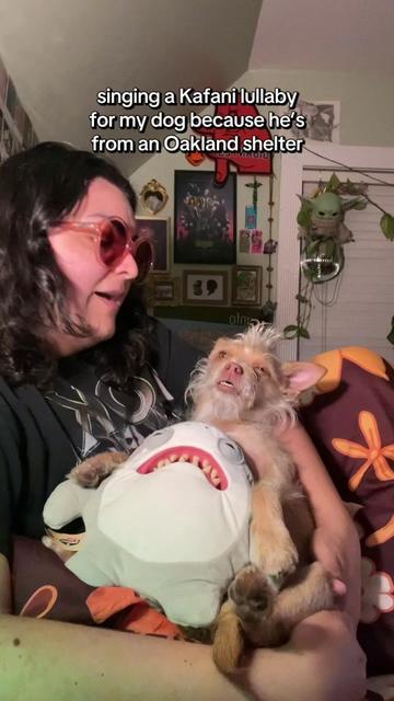 @What’s New Sunny-Doo?