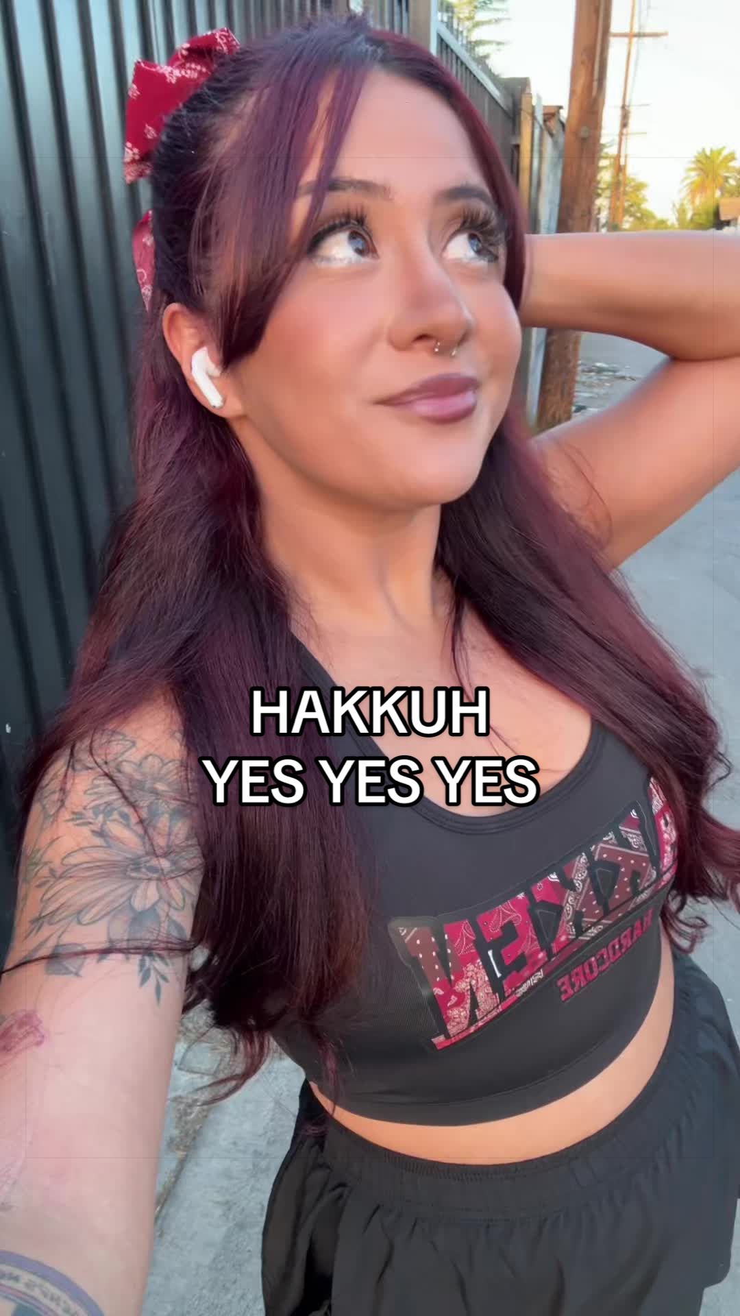 @Hercreator 🦘