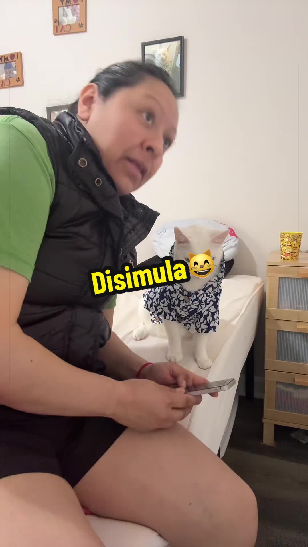 @🦖 MEOWassic CAT😺