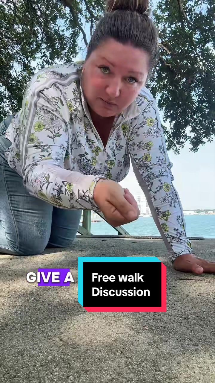 @MindsetEquestrian
