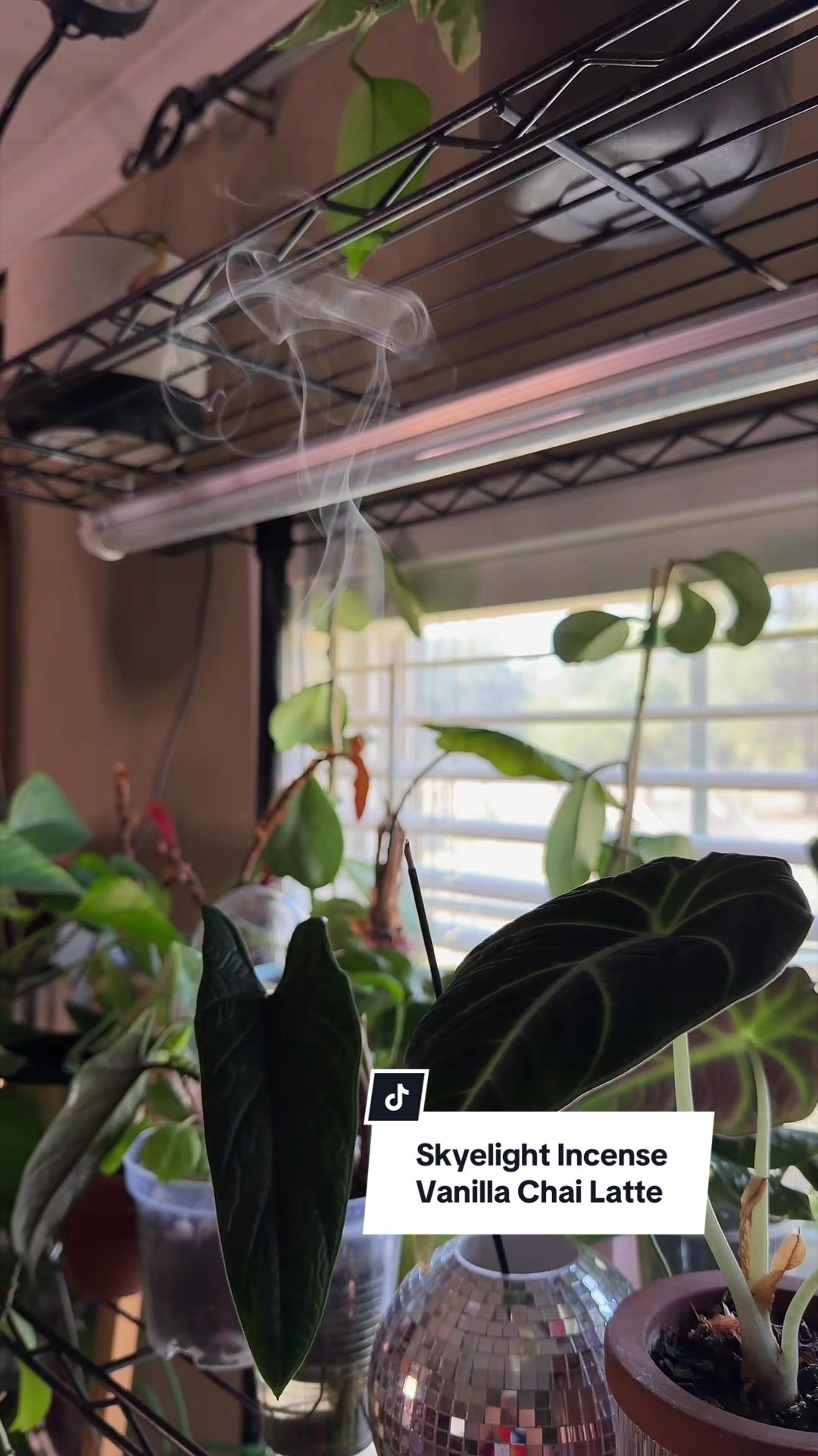 @Jplantmama