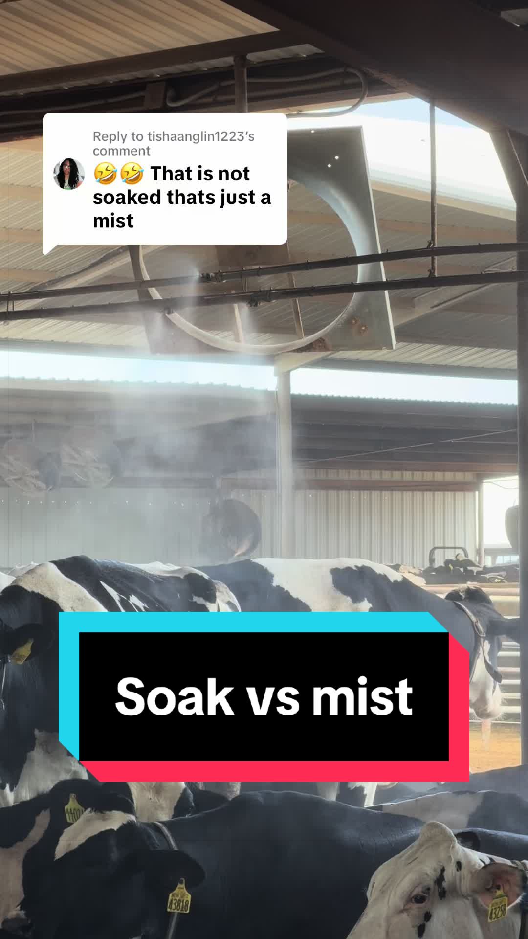 @Dairy Vet Dr. Michelle