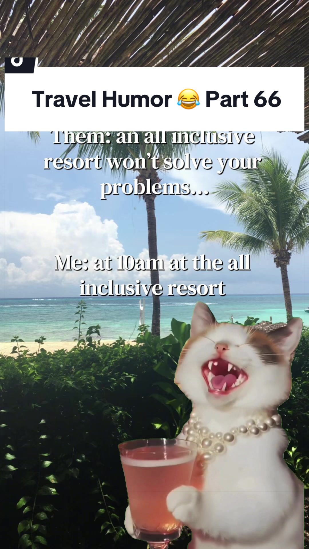 @Emily | Your Travel Agent 🏝️