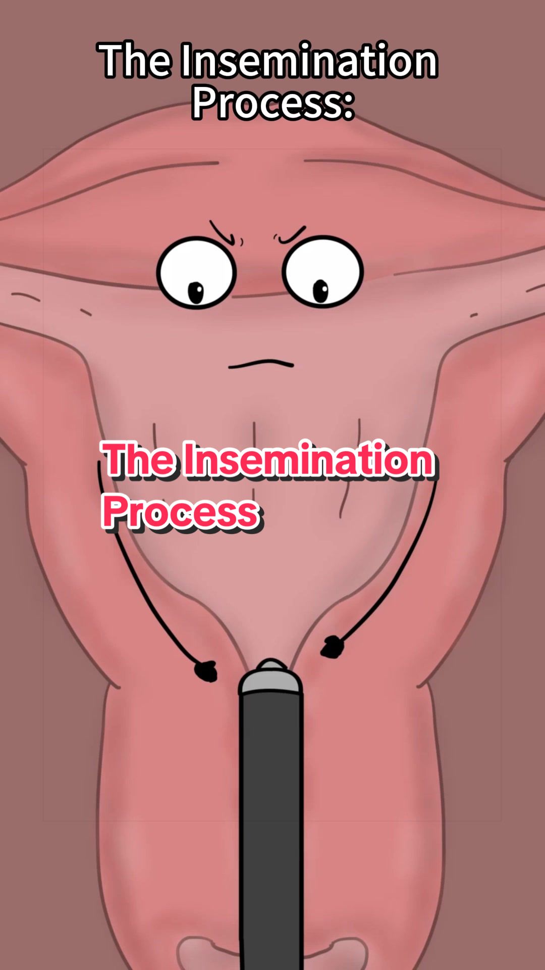 @Funny Animations