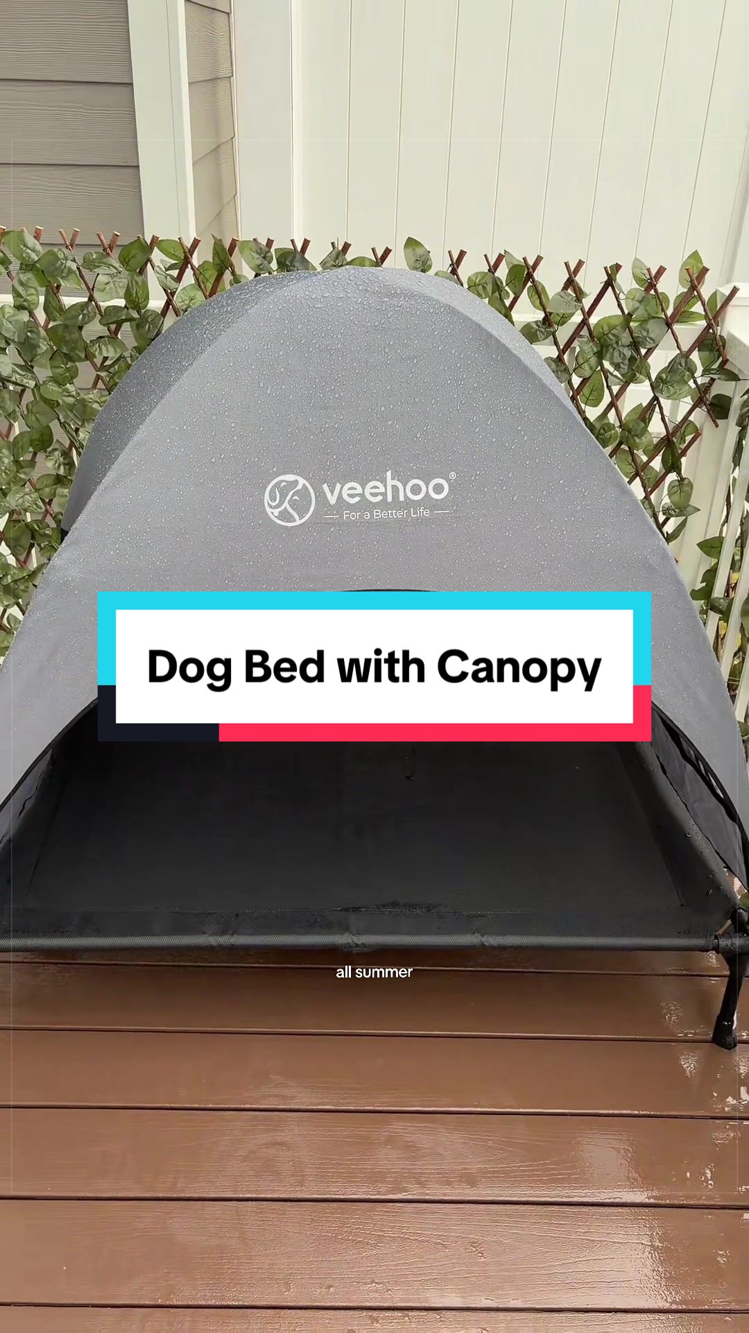 @Archie The Bernedoodle