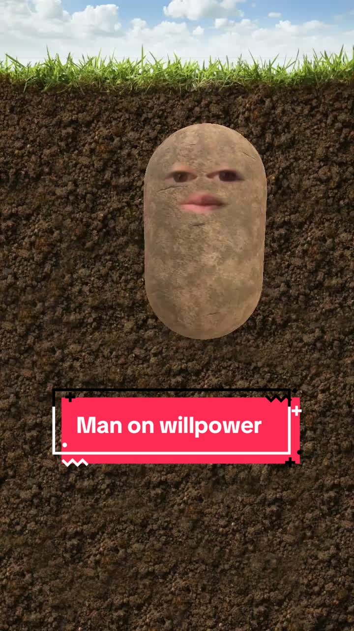 @that_singingpotato