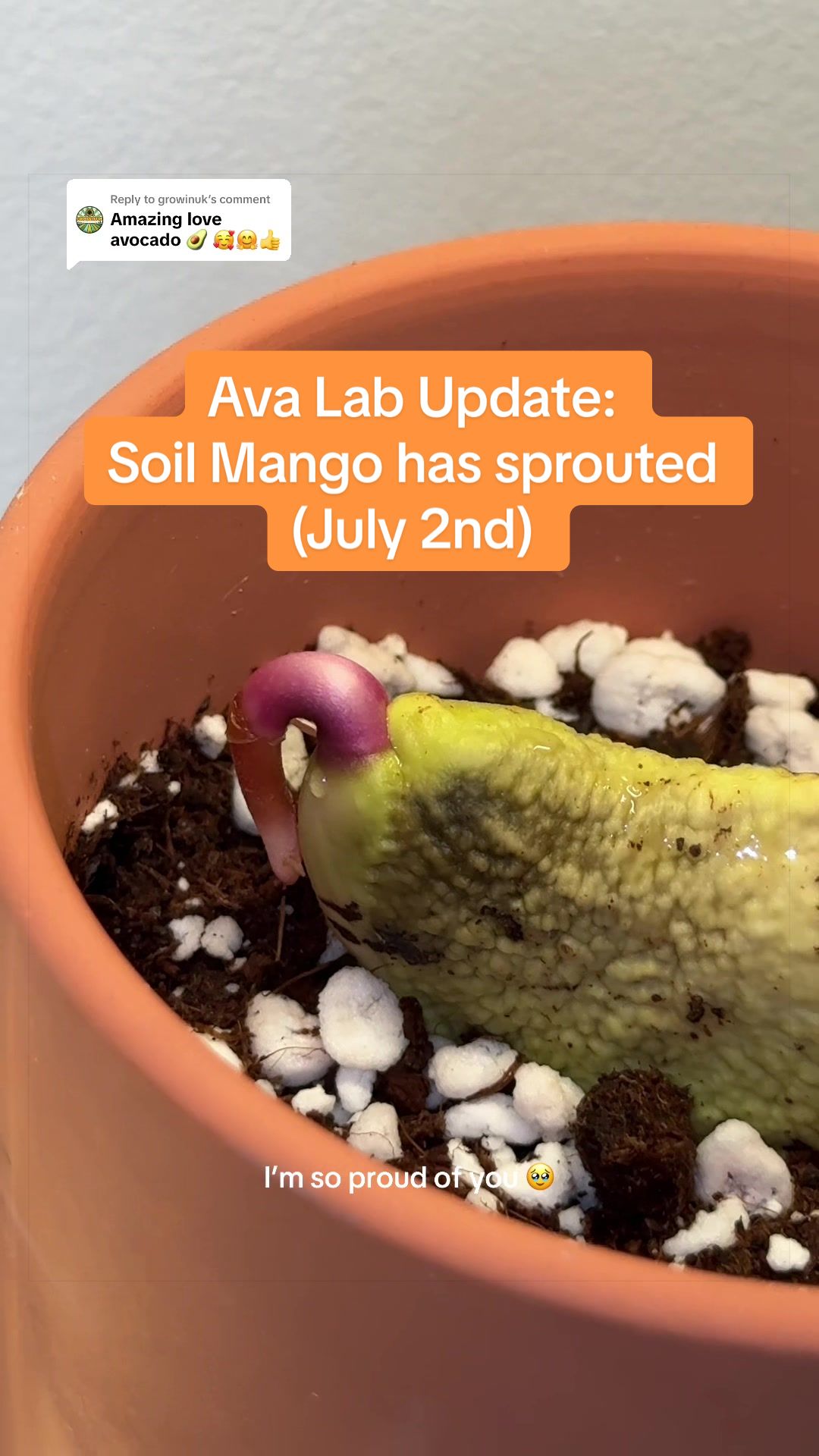 @Niki - Ava’s Mom 🥑🌱