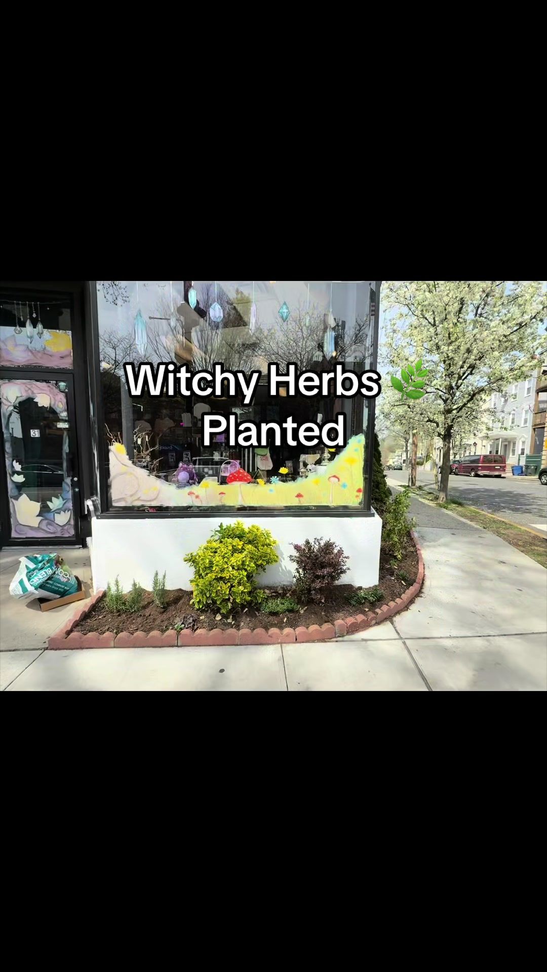 @The High Priestess Shop