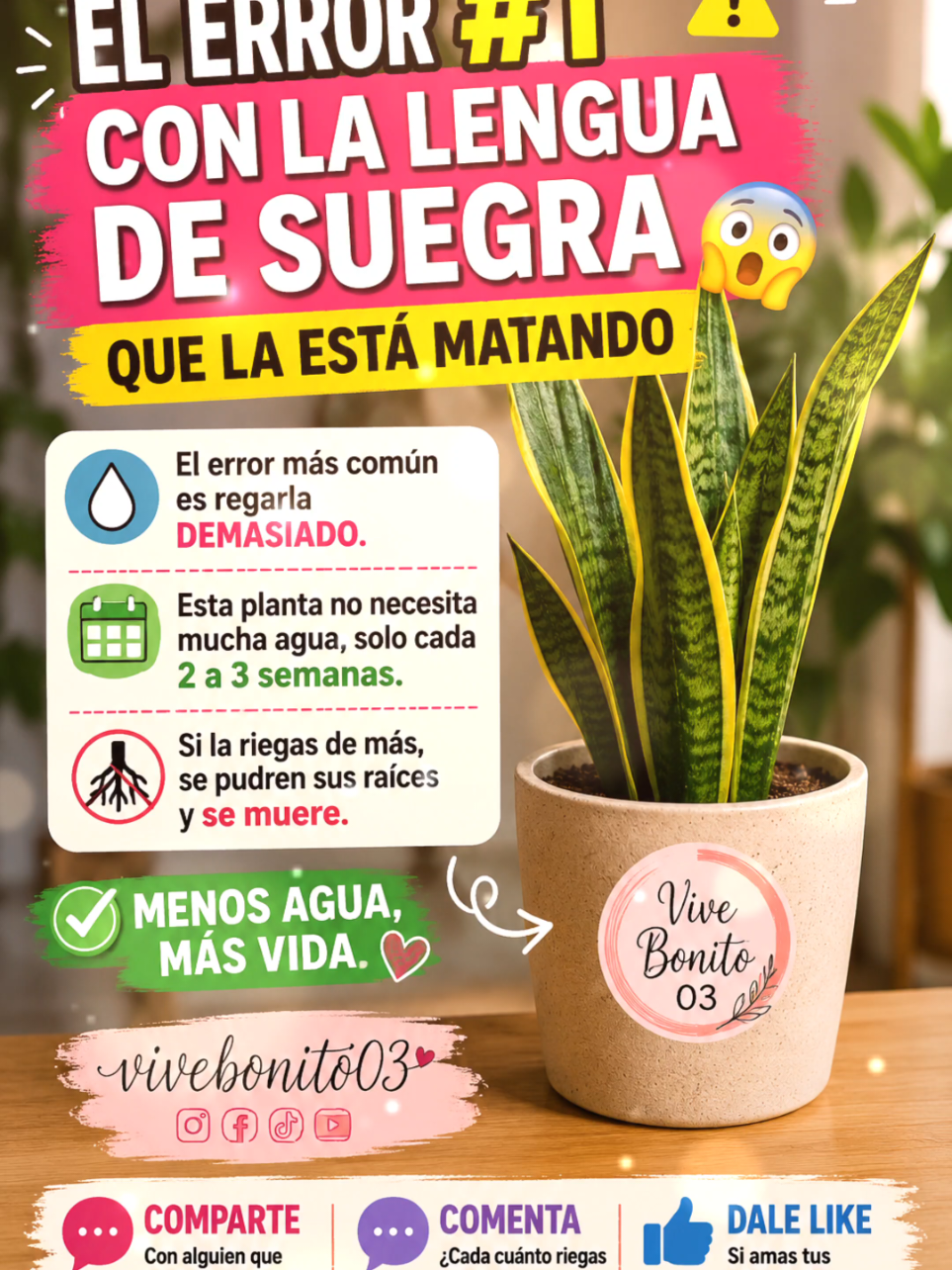 @Vivebonito