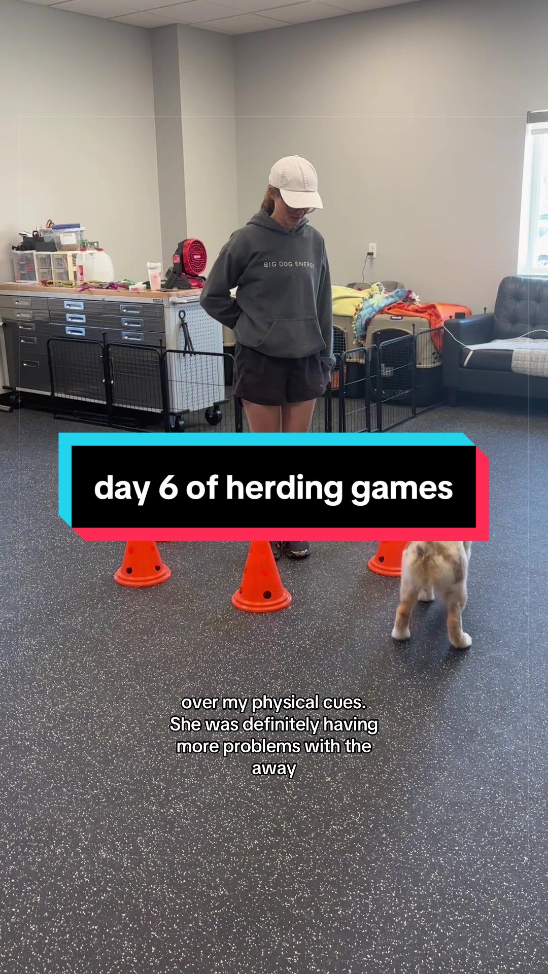 @Beck | Kentucky Dog Trainer