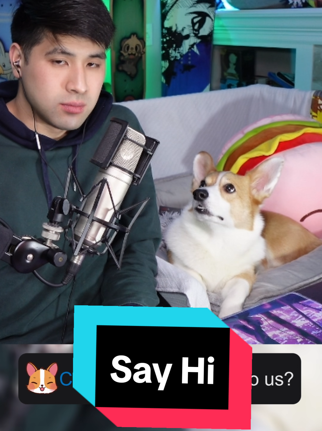@Protocorg | Twitch Streamer