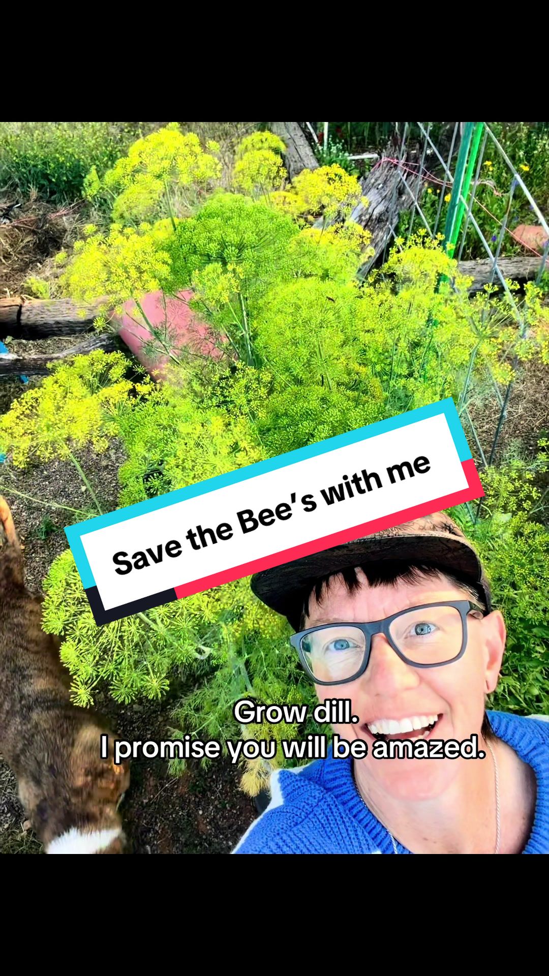 @Ashley