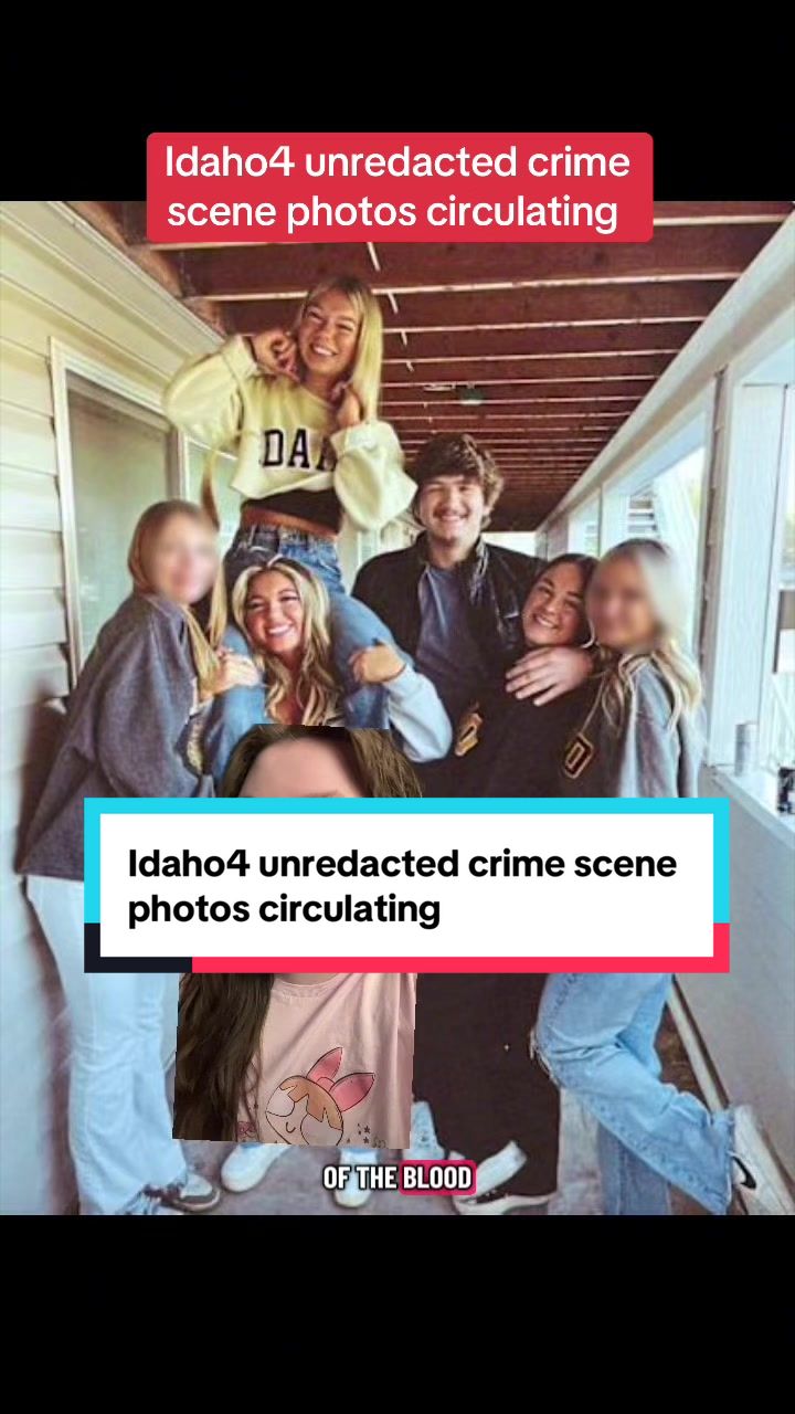 @true crime