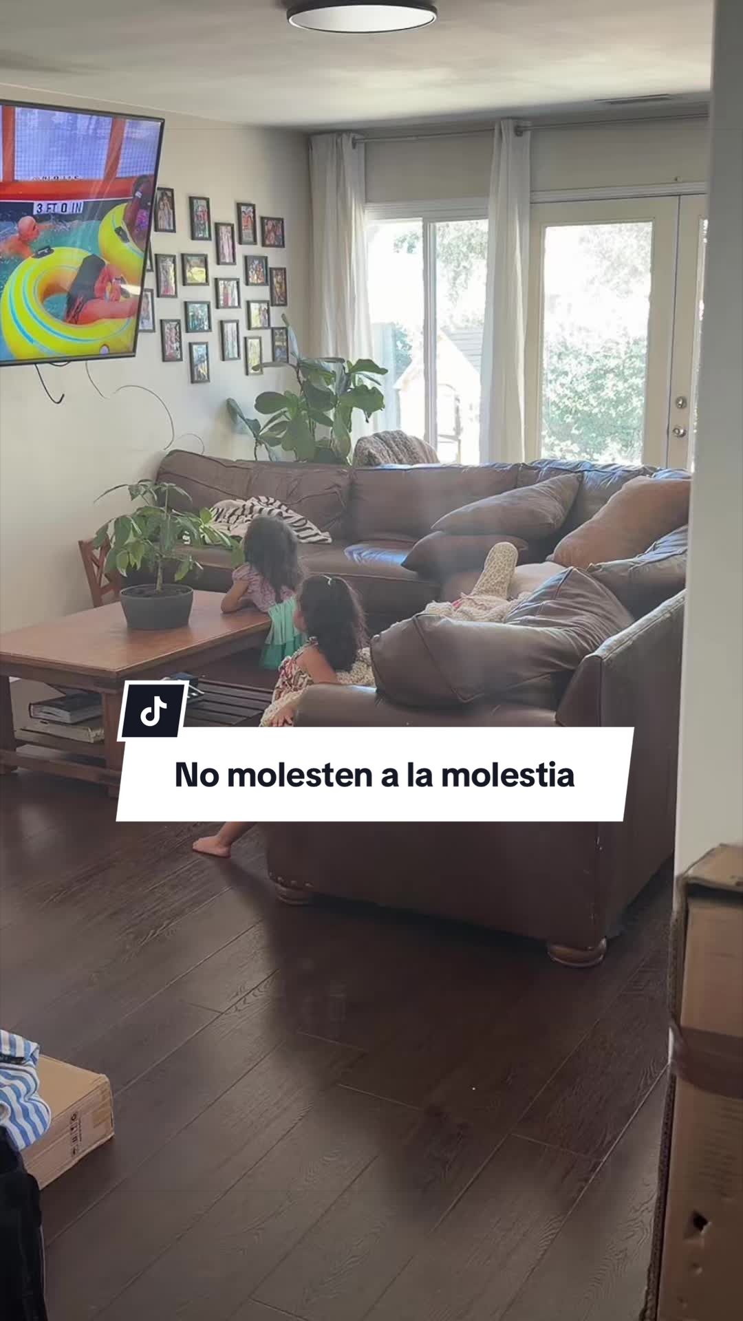 @dailydoseofvivianna