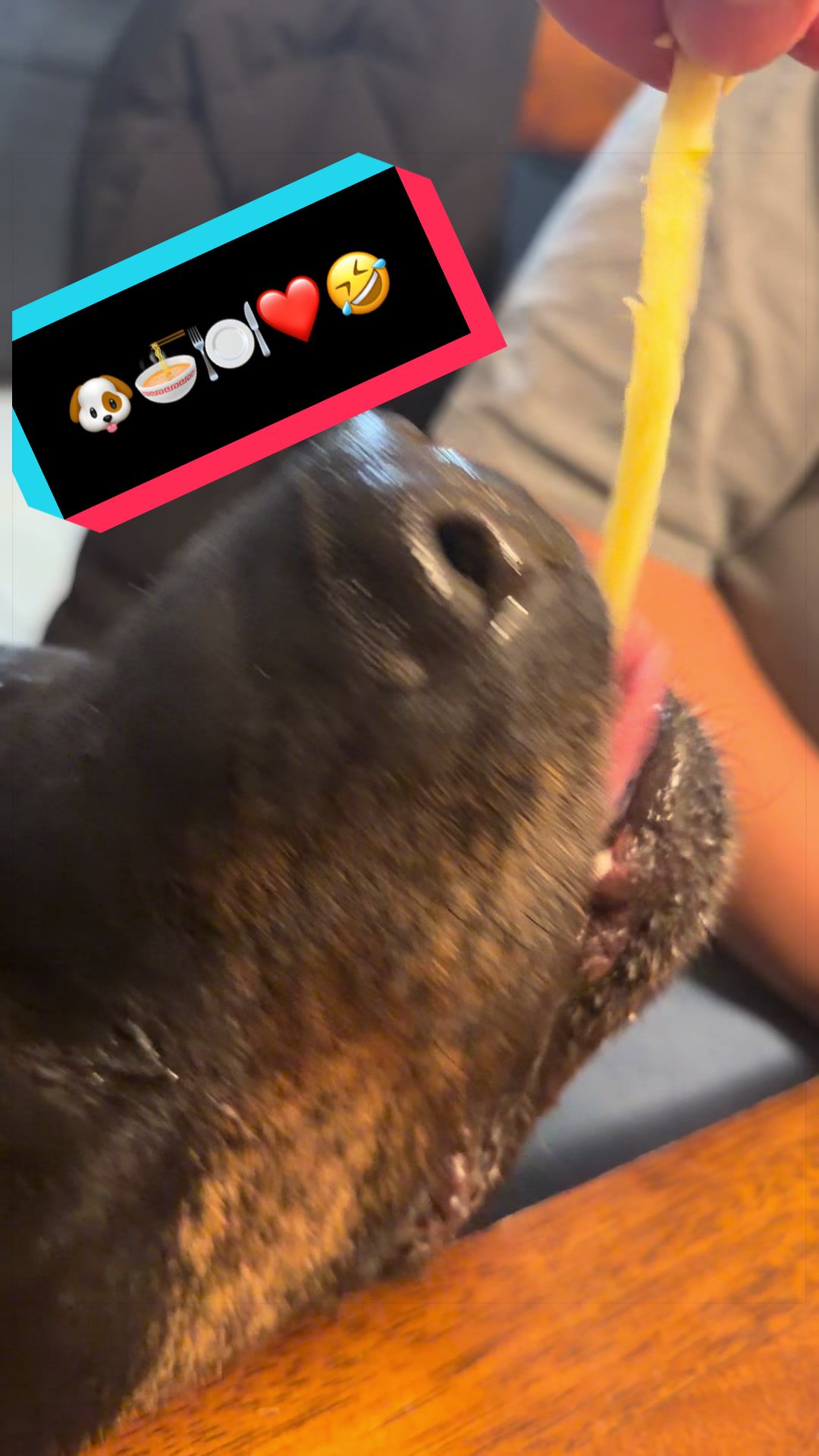 @MtDad406