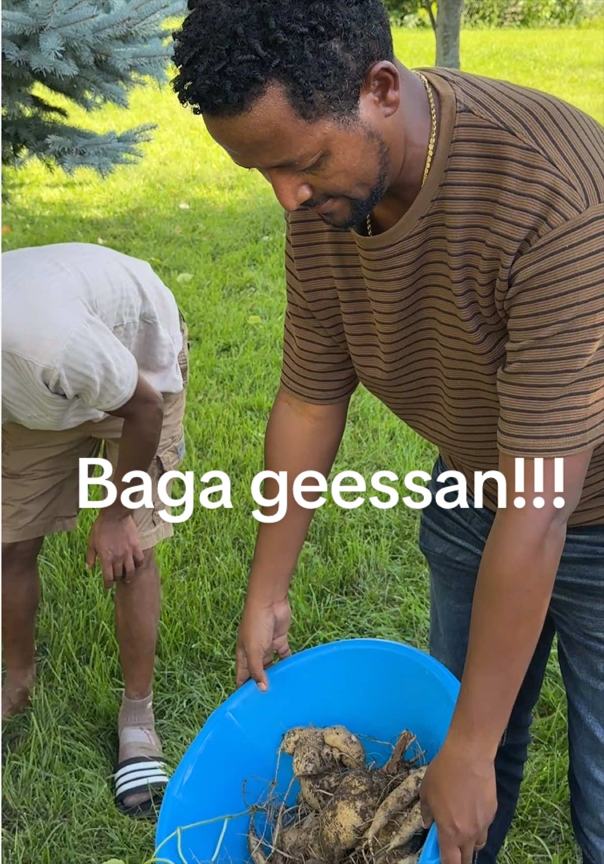 @EGEREE MEDIA