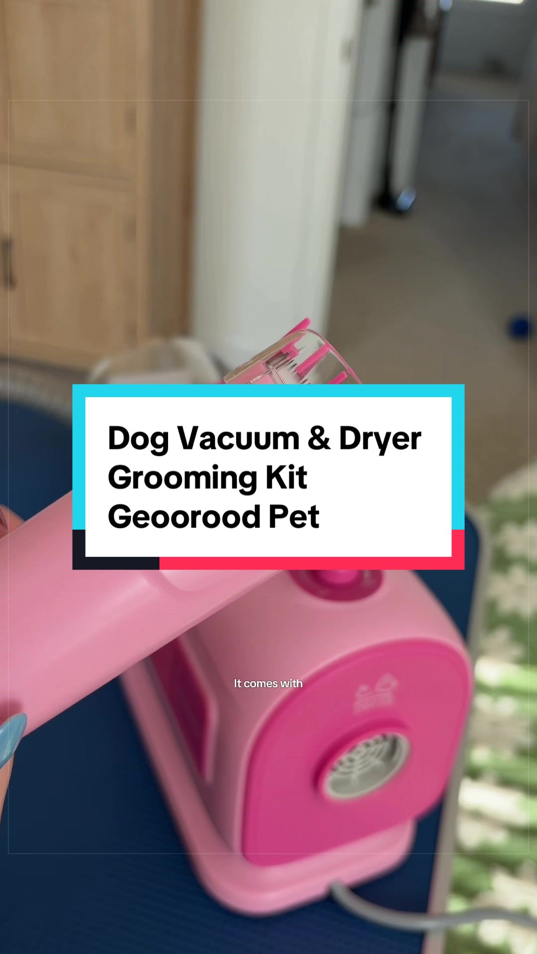 @Archie The Bernedoodle