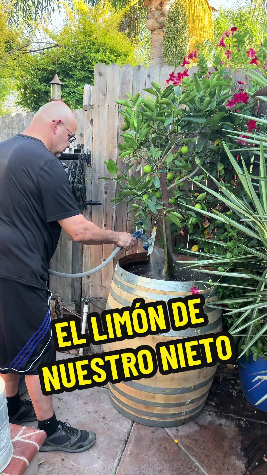 @Los Hernández