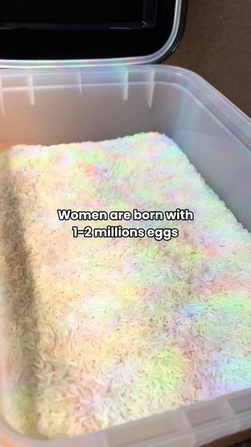 @Egg Donation Agency | YourEggs