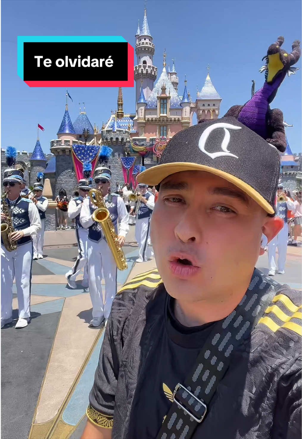 @En Disneylandia