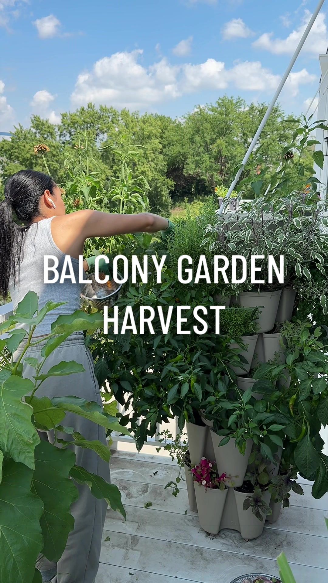 @gardeningindoors