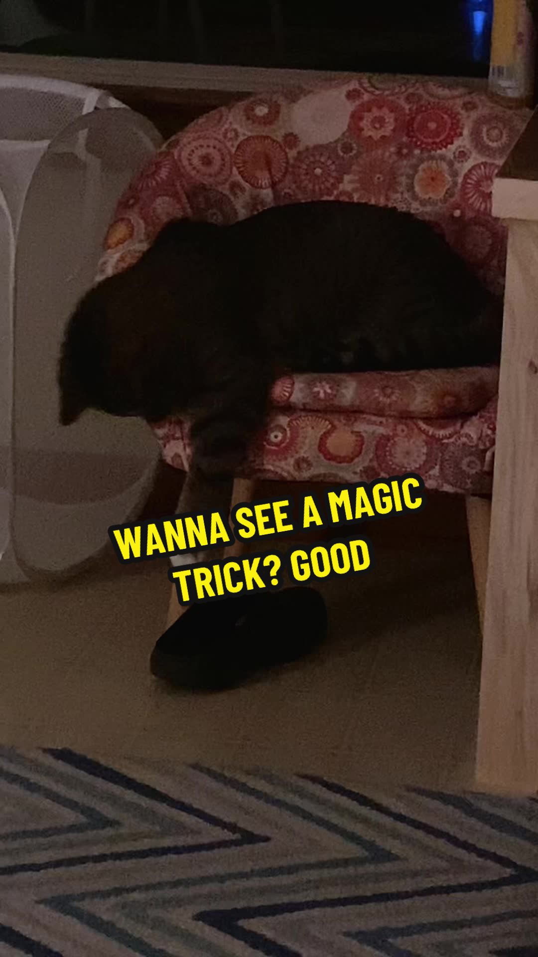 @vociferouswhisper