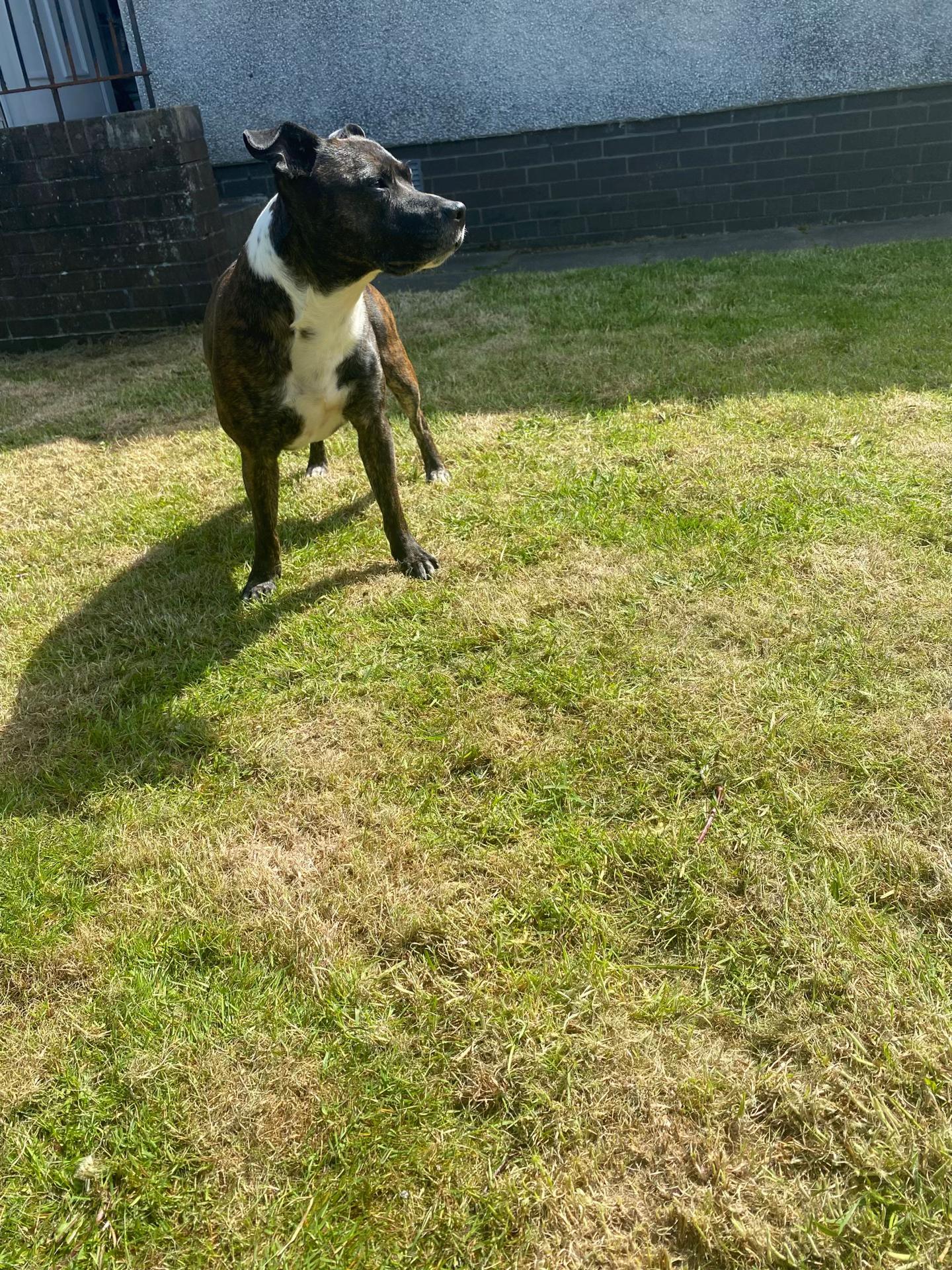 @Shuggiethompson