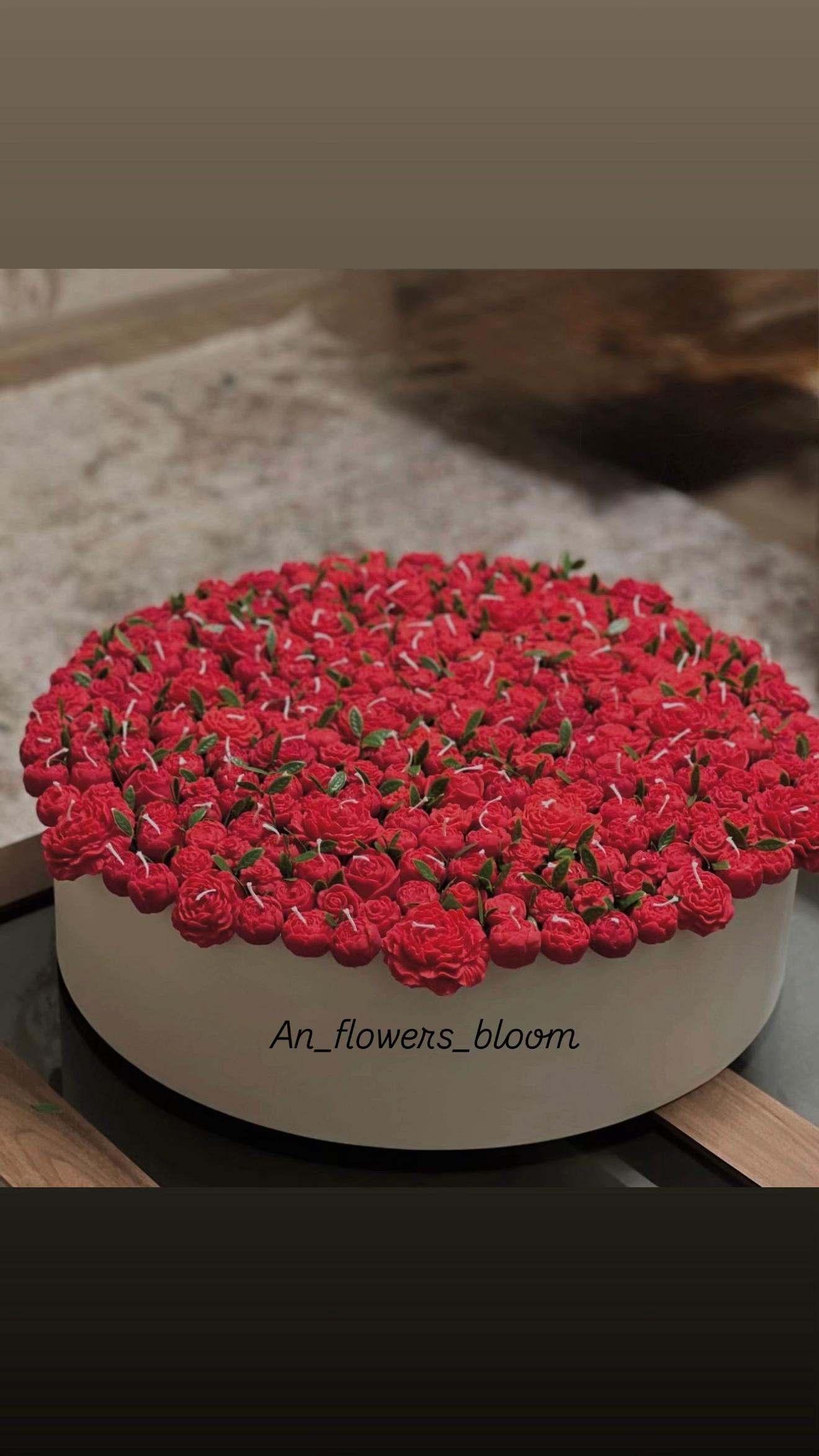 @an_flower_bloom
