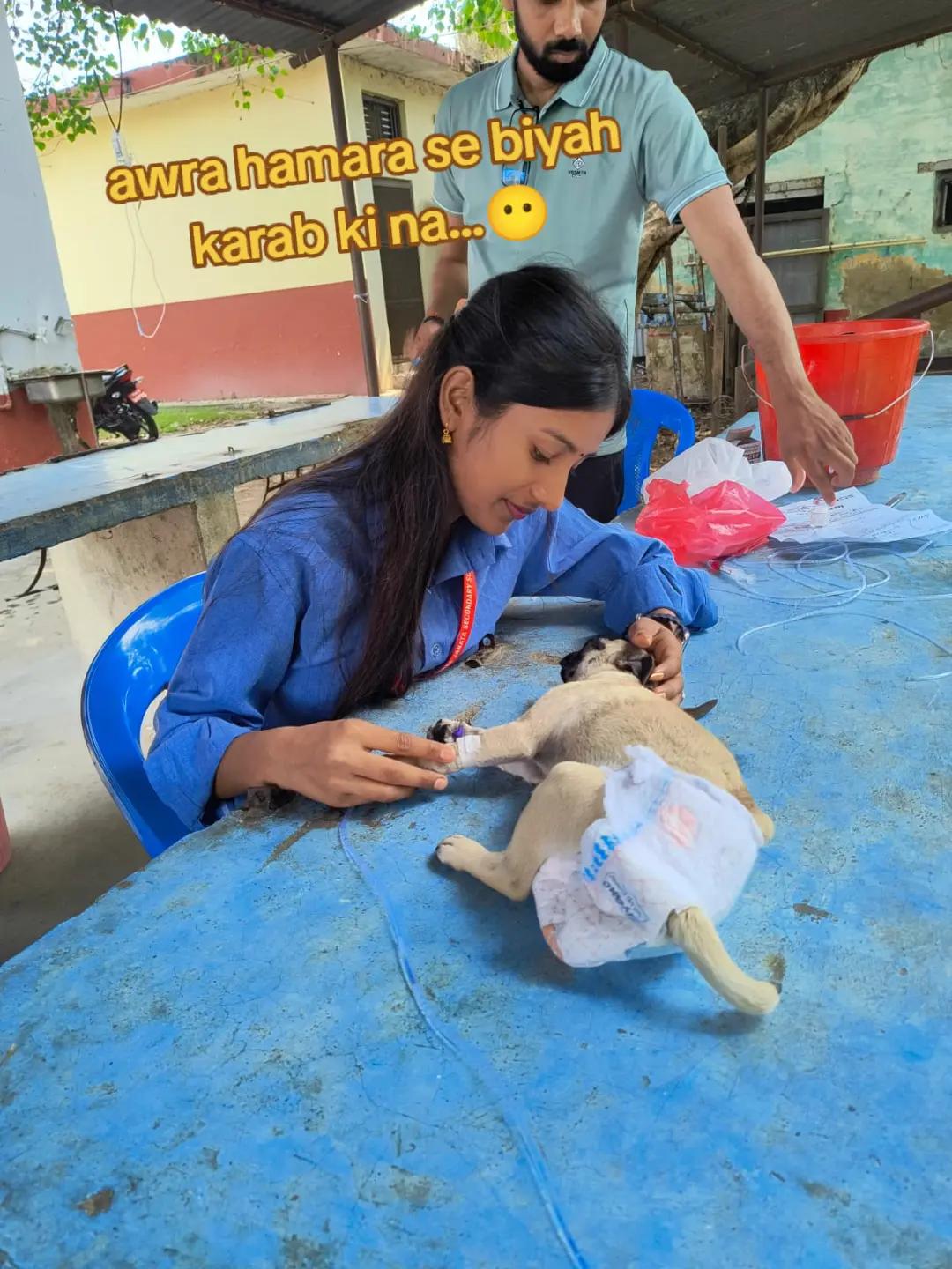 @Pooja 💐❤️☘️