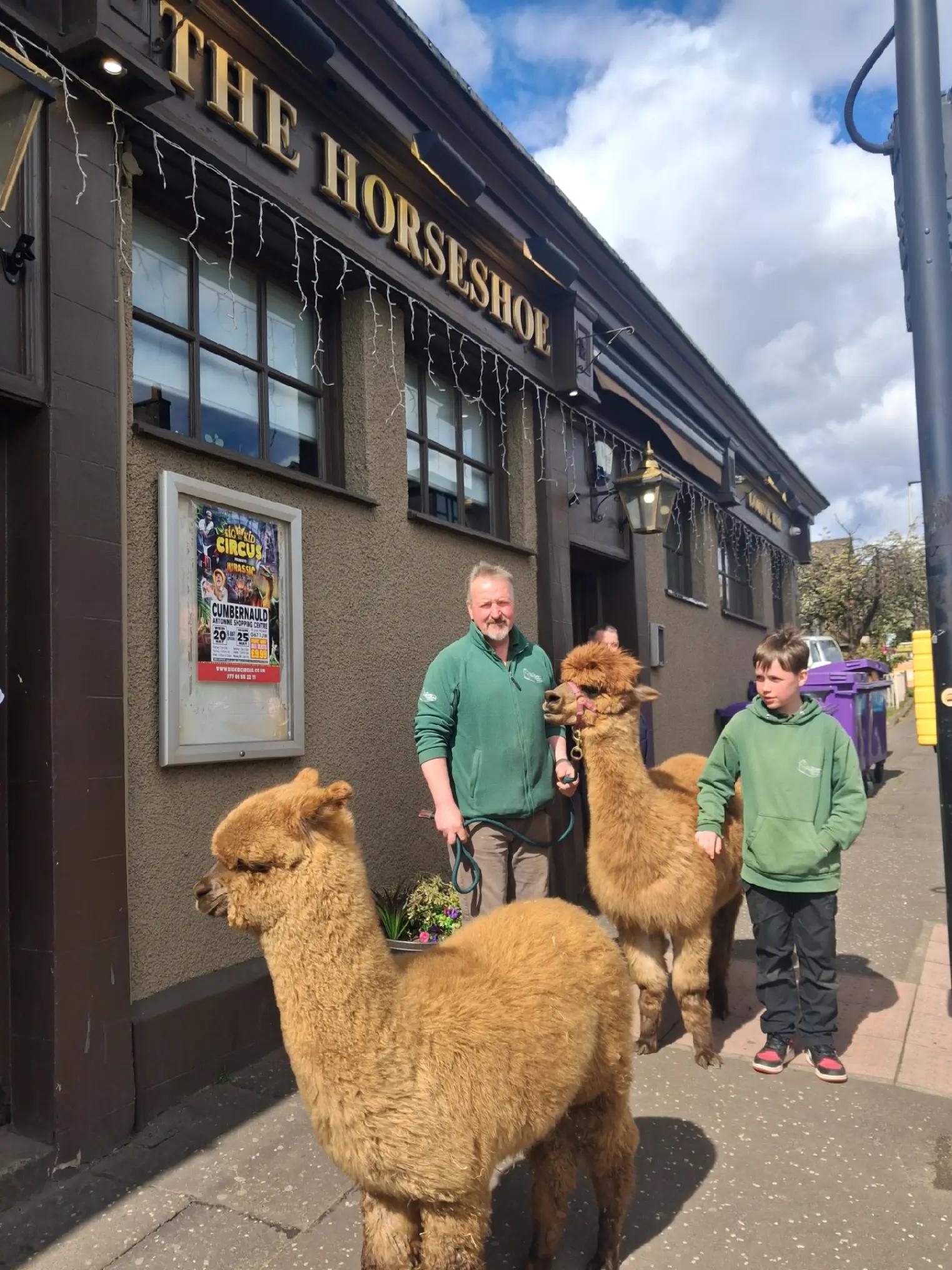 @The Horseshoe Bar Airdrie