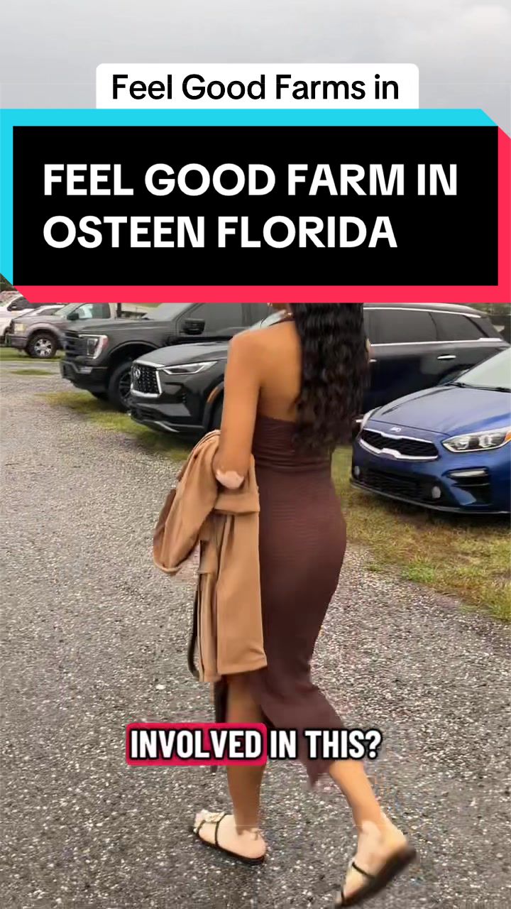 @MaintainTheDream